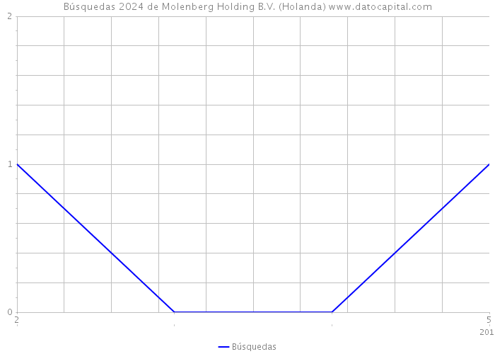 Búsquedas 2024 de Molenberg Holding B.V. (Holanda) 