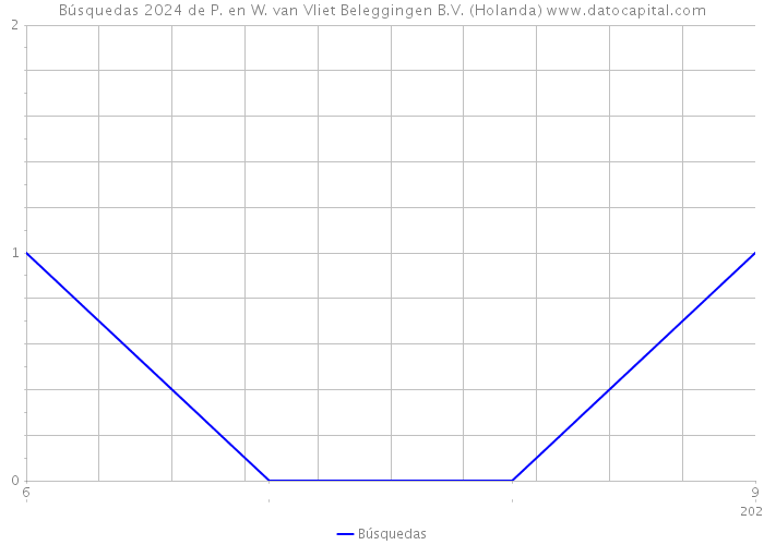 Búsquedas 2024 de P. en W. van Vliet Beleggingen B.V. (Holanda) 