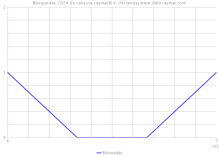 Búsquedas 2024 de calisota capital B.V. (Holanda) 