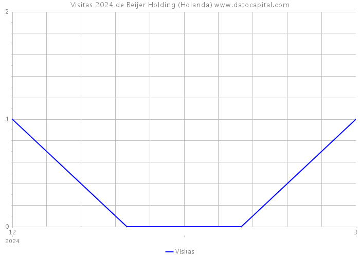 Visitas 2024 de Beijer Holding (Holanda) 