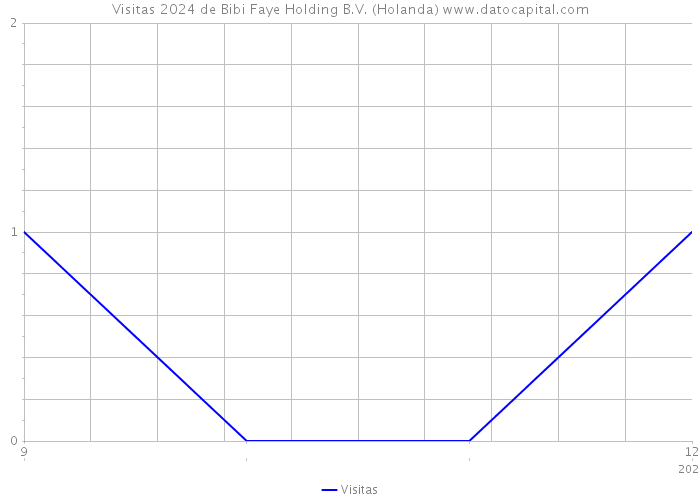 Visitas 2024 de Bibi Faye Holding B.V. (Holanda) 