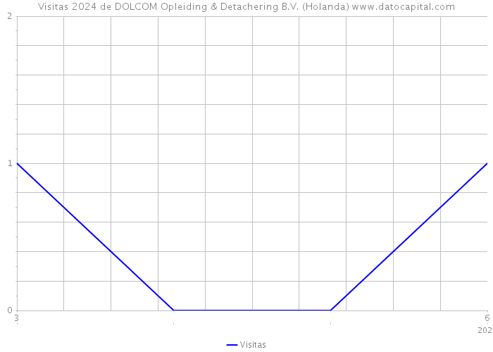 Visitas 2024 de DOLCOM Opleiding & Detachering B.V. (Holanda) 