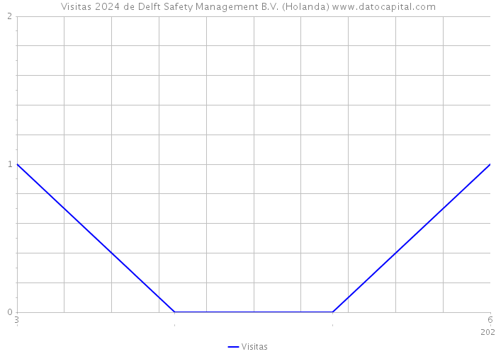 Visitas 2024 de Delft Safety Management B.V. (Holanda) 