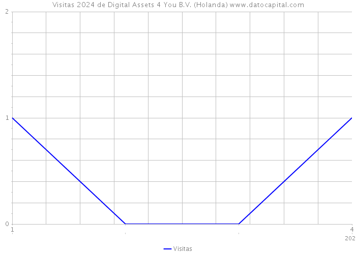Visitas 2024 de Digital Assets 4 You B.V. (Holanda) 