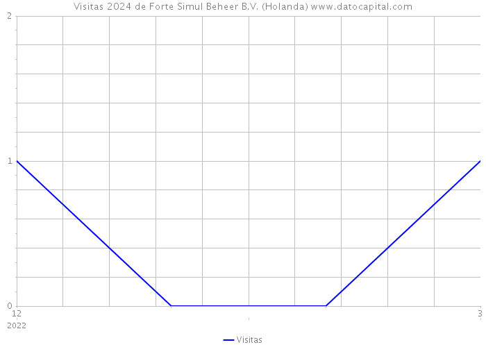 Visitas 2024 de Forte Simul Beheer B.V. (Holanda) 