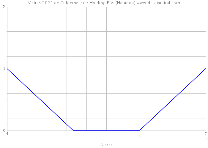 Visitas 2024 de Guldemeester Holding B.V. (Holanda) 