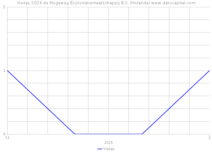 Visitas 2024 de Hogeweg Exploitatiemaatschappij B.V. (Holanda) 