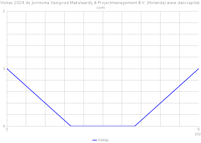 Visitas 2024 de Jorritsma Vastgoed Makelaardij & Projectmanagement B.V. (Holanda) 