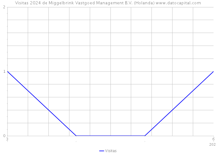 Visitas 2024 de Miggelbrink Vastgoed Management B.V. (Holanda) 