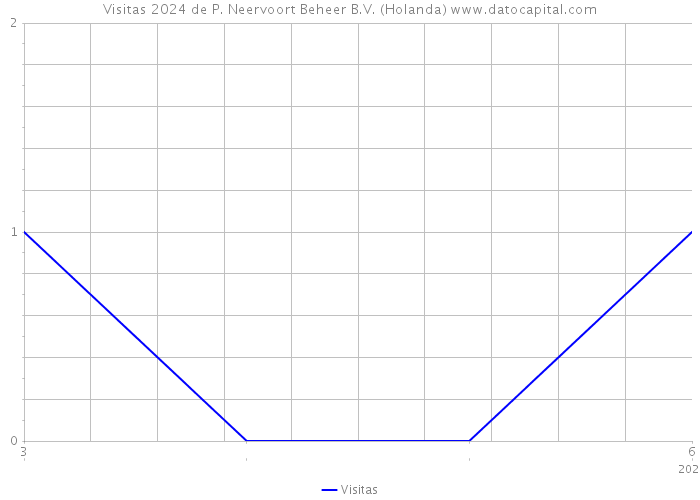 Visitas 2024 de P. Neervoort Beheer B.V. (Holanda) 