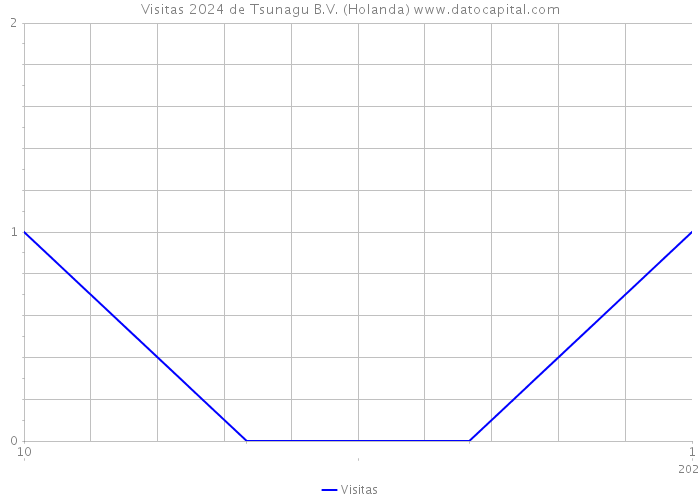 Visitas 2024 de Tsunagu B.V. (Holanda) 