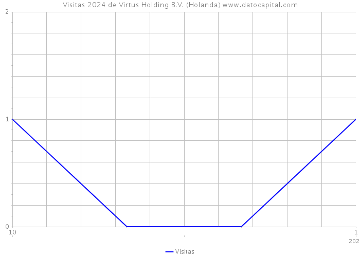 Visitas 2024 de Virtus Holding B.V. (Holanda) 