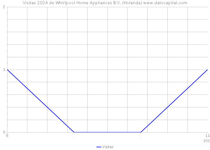 Visitas 2024 de Whirlpool Home Appliances B.V. (Holanda) 