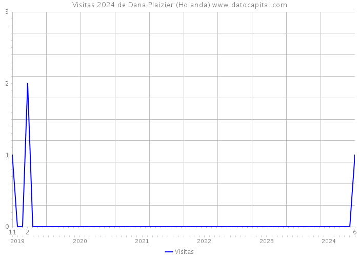 Visitas 2024 de Dana Plaizier (Holanda) 