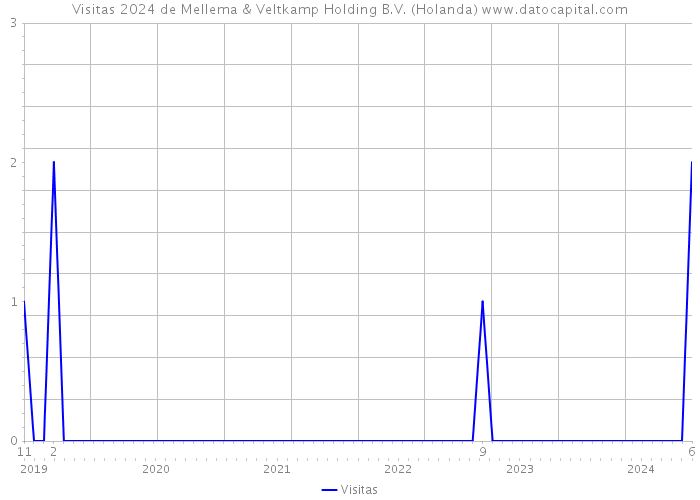 Visitas 2024 de Mellema & Veltkamp Holding B.V. (Holanda) 