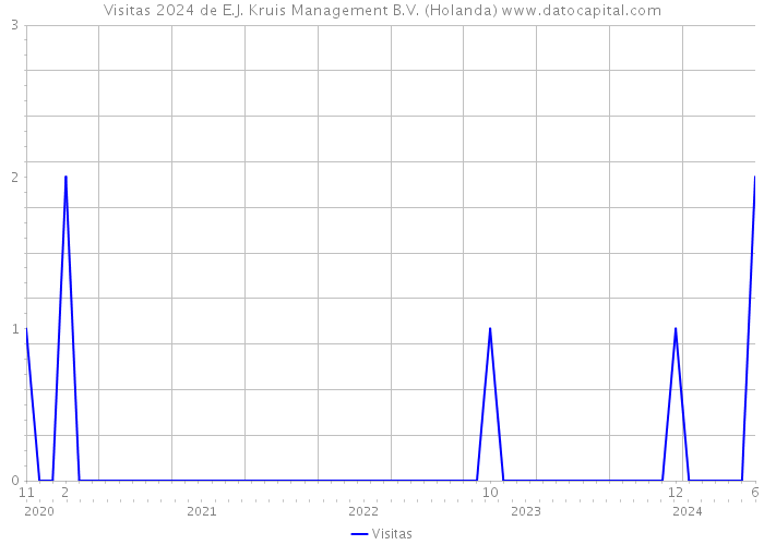 Visitas 2024 de E.J. Kruis Management B.V. (Holanda) 