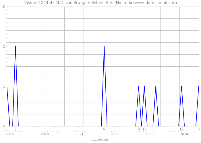 Visitas 2024 de M.O. van Bruggen Beheer B.V. (Holanda) 