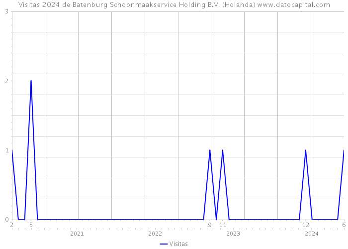 Visitas 2024 de Batenburg Schoonmaakservice Holding B.V. (Holanda) 