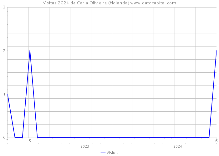 Visitas 2024 de Carla Olivieira (Holanda) 