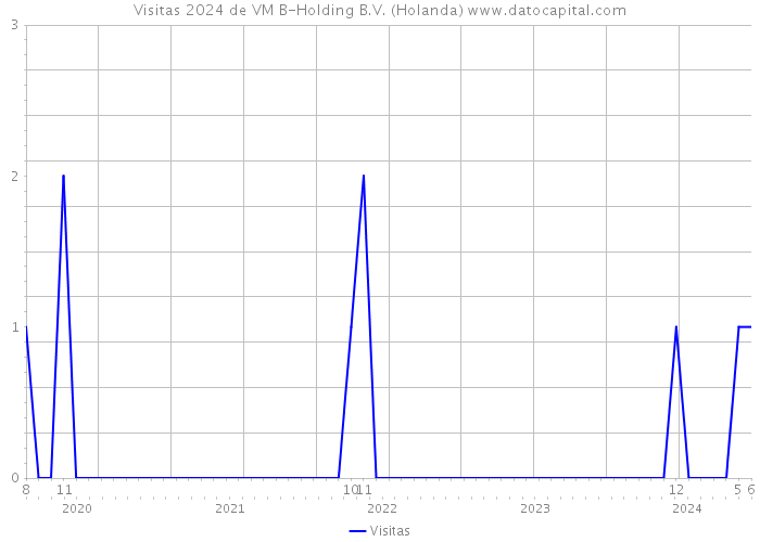 Visitas 2024 de VM B-Holding B.V. (Holanda) 