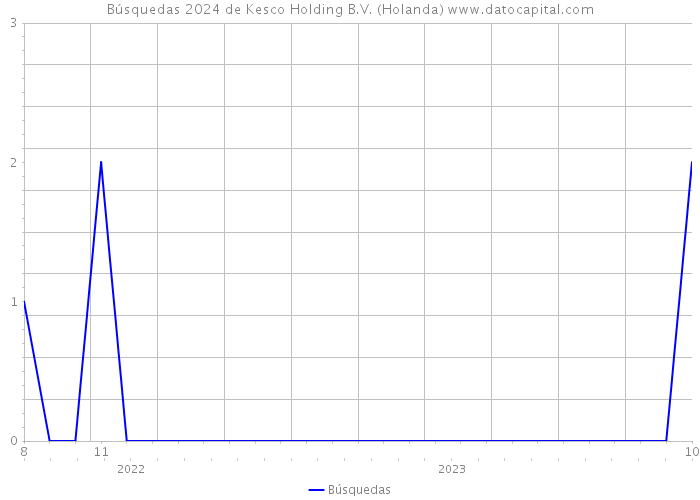 Búsquedas 2024 de Kesco Holding B.V. (Holanda) 