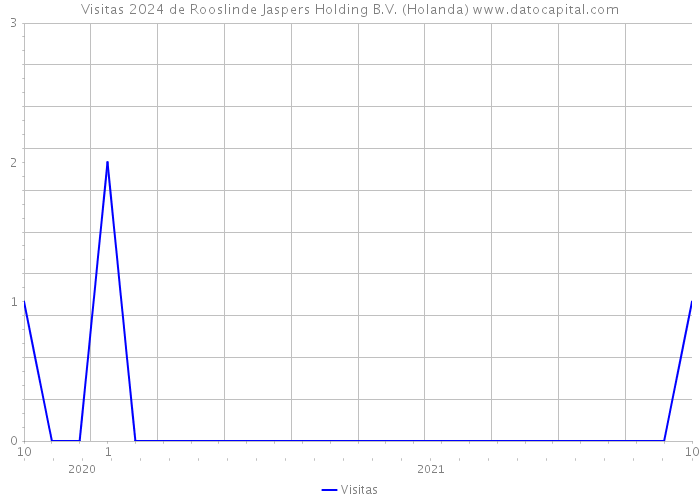 Visitas 2024 de Rooslinde Jaspers Holding B.V. (Holanda) 