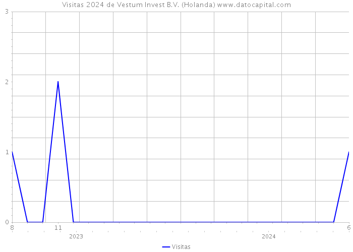 Visitas 2024 de Vestum Invest B.V. (Holanda) 