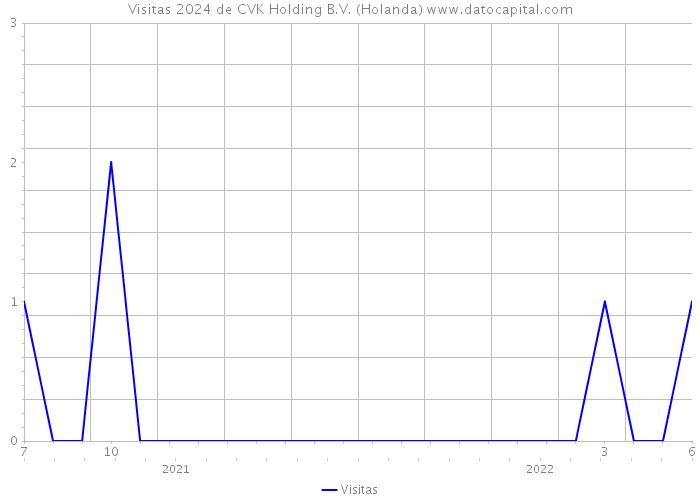 Visitas 2024 de CVK Holding B.V. (Holanda) 