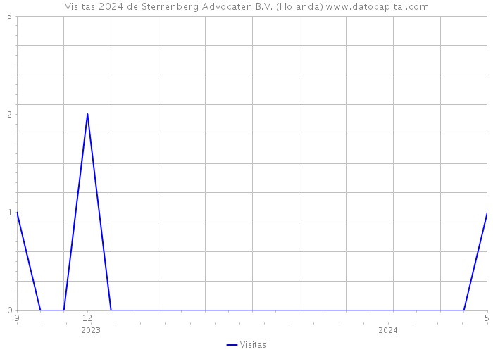 Visitas 2024 de Sterrenberg Advocaten B.V. (Holanda) 