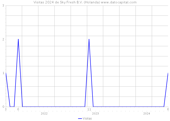 Visitas 2024 de Sky Fresh B.V. (Holanda) 