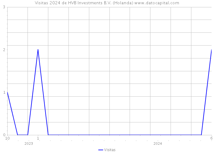 Visitas 2024 de HVB Investments B.V. (Holanda) 