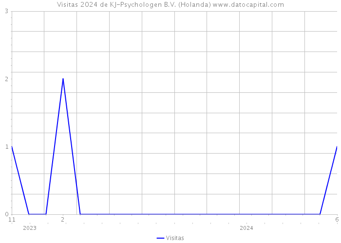 Visitas 2024 de KJ-Psychologen B.V. (Holanda) 