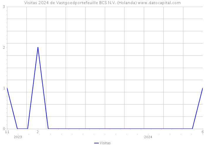 Visitas 2024 de Vastgoedportefeuille BCS N.V. (Holanda) 