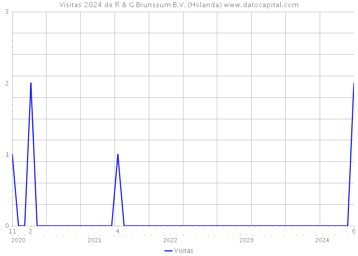 Visitas 2024 de R & G Brunssum B.V. (Holanda) 