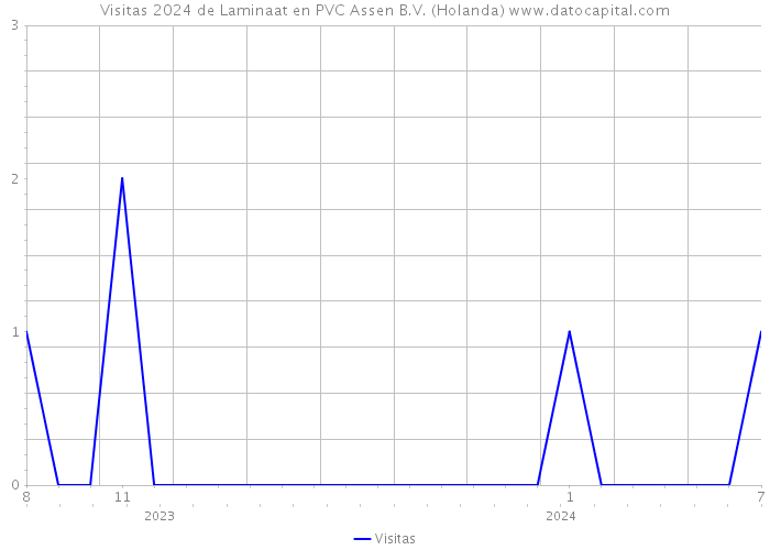 Visitas 2024 de Laminaat en PVC Assen B.V. (Holanda) 