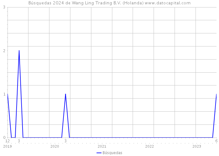 Búsquedas 2024 de Wang Ling Trading B.V. (Holanda) 