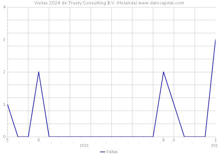 Visitas 2024 de Trusty Consulting B.V. (Holanda) 