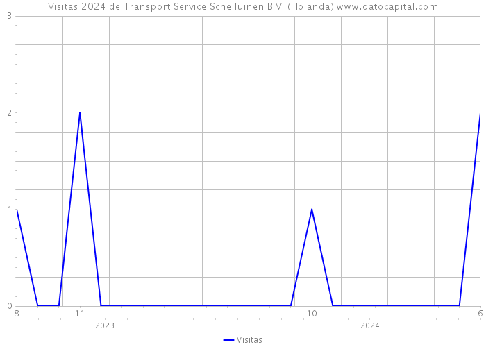 Visitas 2024 de Transport Service Schelluinen B.V. (Holanda) 