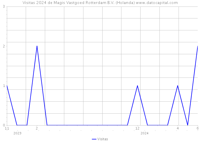 Visitas 2024 de Magis Vastgoed Rotterdam B.V. (Holanda) 