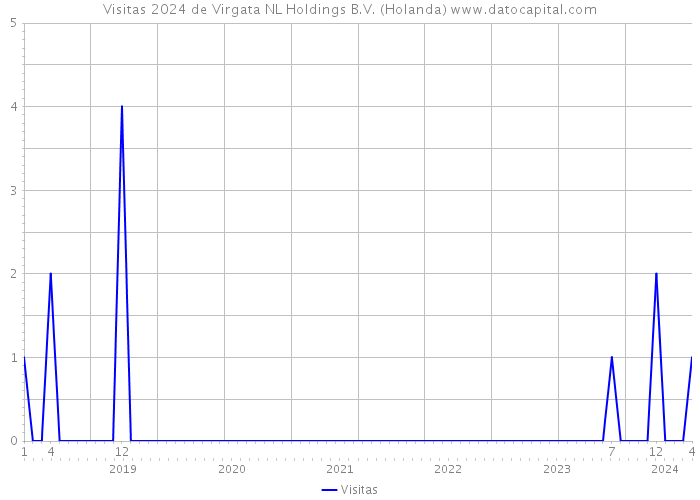 Visitas 2024 de Virgata NL Holdings B.V. (Holanda) 