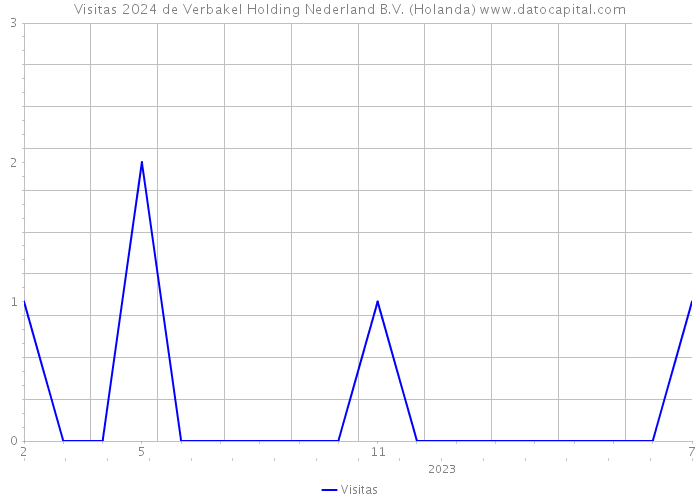 Visitas 2024 de Verbakel Holding Nederland B.V. (Holanda) 