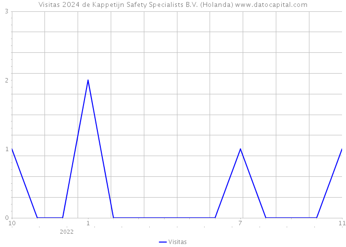 Visitas 2024 de Kappetijn Safety Specialists B.V. (Holanda) 