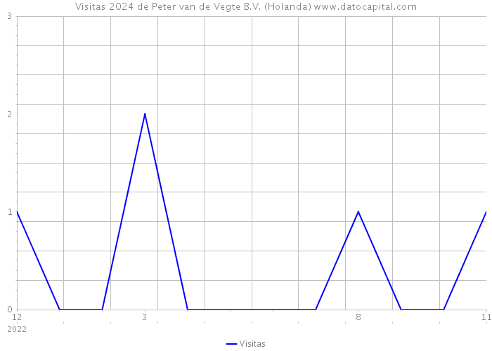 Visitas 2024 de Peter van de Vegte B.V. (Holanda) 