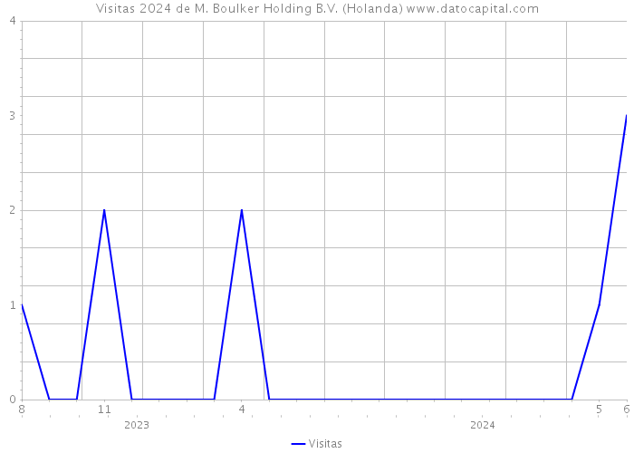 Visitas 2024 de M. Boulker Holding B.V. (Holanda) 