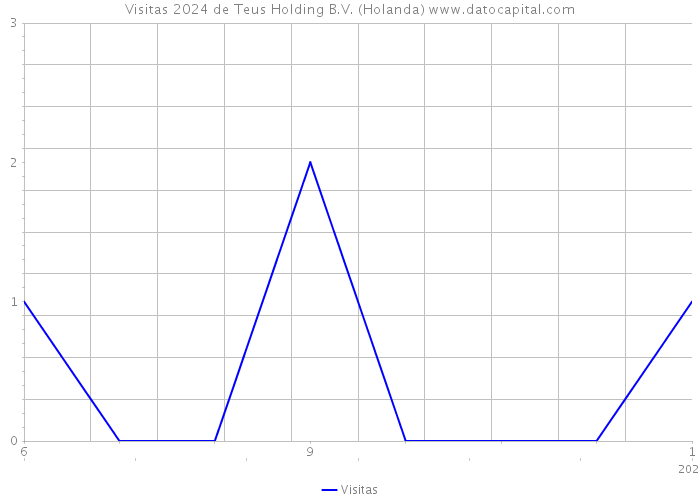 Visitas 2024 de Teus Holding B.V. (Holanda) 