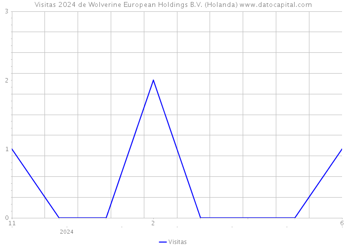 Visitas 2024 de Wolverine European Holdings B.V. (Holanda) 