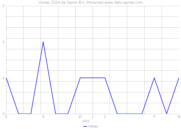 Visitas 2024 de Vaster B.V. (Holanda) 