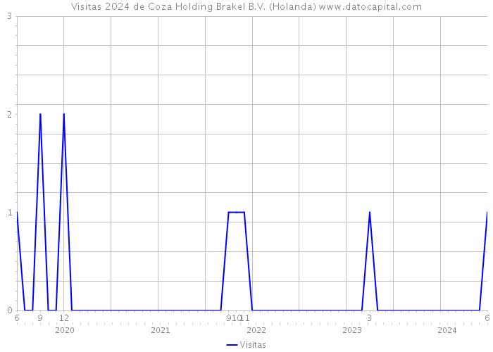 Visitas 2024 de Coza Holding Brakel B.V. (Holanda) 