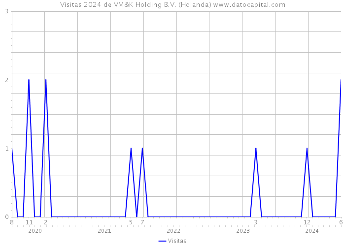 Visitas 2024 de VM&K Holding B.V. (Holanda) 