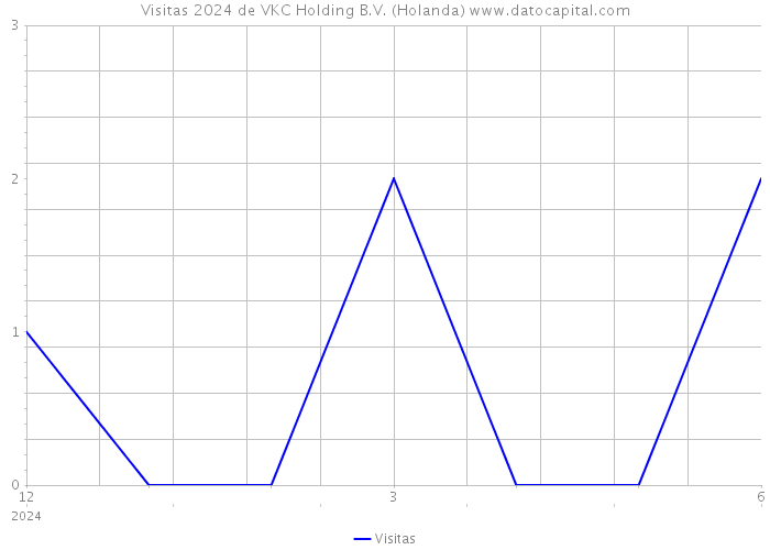 Visitas 2024 de VKC Holding B.V. (Holanda) 